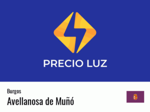 Precio luz hoy horas Avellanosa de Muñó
