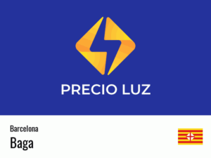 Precio luz hoy horas Baga