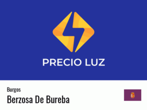 Precio luz hoy horas Berzosa De Bureba