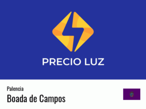 Precio luz hoy horas Boada de Campos