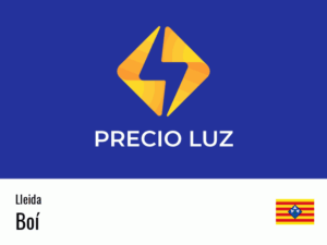 Precio luz hoy horas Boí