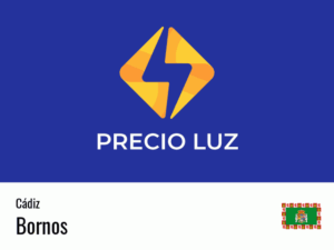 Precio luz hoy horas Bornos
