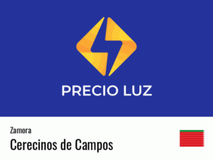 Precio luz hoy horas Cerecinos de Campos