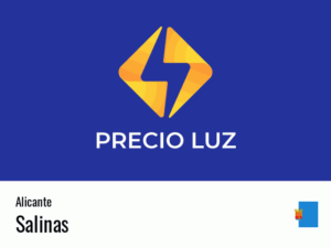 Precio luz hoy horas Salinas