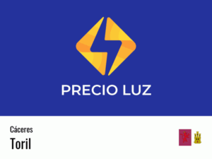 Precio luz hoy horas Toril